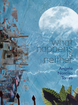 cover image of What Happens Is Neither